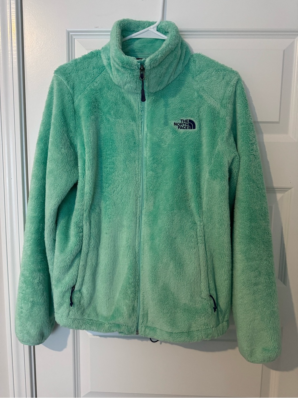 The North Face  Mint Green Fleece Jacket